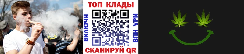 Виды наркотиков купить Шенкурск ГАШИШ  Alpha-PVP  Меф мяу мяу  АМФЕТАМИН  Канабис 