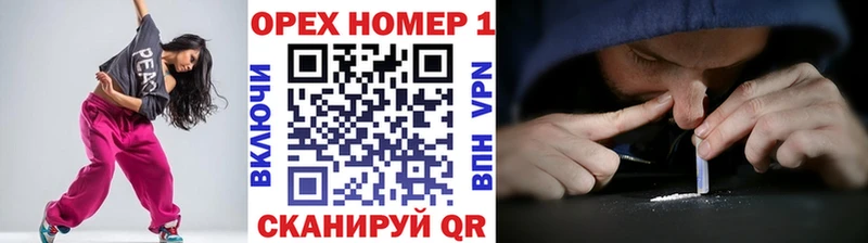 купить наркотики сайты  Шенкурск  Cocaine Fish Scale 