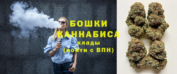 дурь Покачи