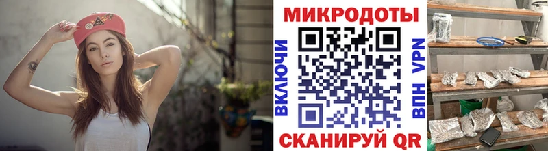 как найти закладки  дарк нет наркотические препараты  Галлюциногенные грибы ЛСД  Шенкурск 